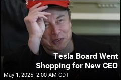 Tesla Board Started Search to Replace Musk as CEO: Sources