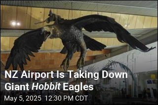NZ Airport Is Taking Down Giant Hobbit Eagles