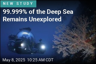 99.999% of the Deep Sea Remains Unexplored