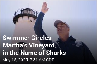 Swimmer Circles Martha&#39;s Vineyard, in the Name of Sharks
