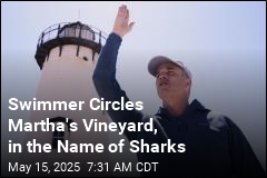 Swimmer Circles Martha&#39;s Vineyard, in the Name of Sharks