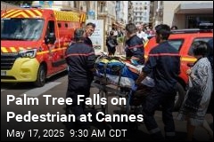 Freak Accident at Cannes Injures Pedestrian