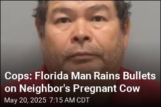 Cops: Florida Man Rains Bullets on Neighbor&#39;s Pregnant Cow