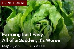 Farming Was Tough for Them. Here&#39;s How It Got Worse