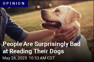 People Are Surprisingly Bad at Reading Their Dogs