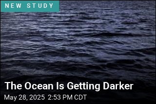 Large Swaths of Our Oceans Are Darkening, Scientists Warn