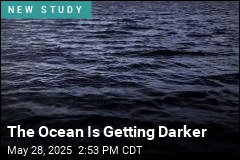 Large Swaths of Our Oceans Are Darkening, Scientists Warn