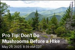 Pro Tip: Don&#39;t Do Mushrooms Before a Hike