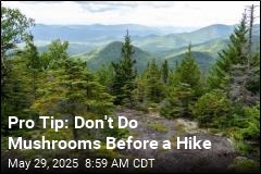 Pro Tip: Don&#39;t Do Mushrooms Before a Hike