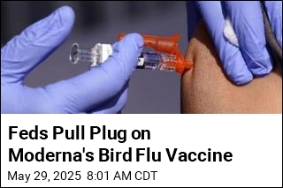 Feds Pull Plug on Moderna&#39;s Bird Flu Vaccine