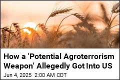 How a &#39;Potential Agroterrorism Weapon&#39; Allegedly Got Into US