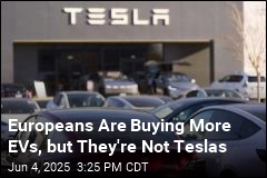 Tesla Sales Keep Slipping in Europe as Rivals Gain Ground