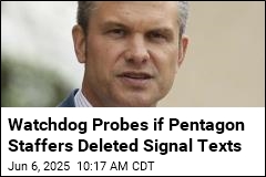 Watchdog Probes if Pentagon Staffers Deleted Signal Texts