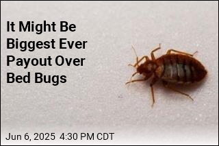 It Might Be Biggest Ever Payout Over Bed Bugs