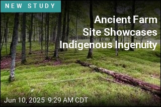 Ancient Farm Site Showcases Indigenous Ingenuity
