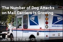 Dog Attacks on Mail Carriers Climb to 7-Year High