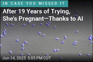 After 19 Years of Trying, She&#39;s Pregnant&mdash;Thanks to AI