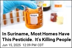 In Suriname, Most Homes Have This Pesticide. It&#39;s Killing People