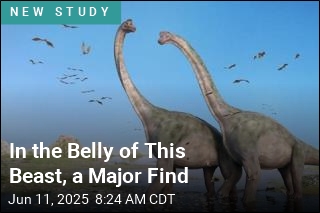 Finally, Hard Proof That These Dinos Scarfed Down Plants