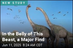 Finally, Hard Proof That These Dinos Scarfed Down Plants