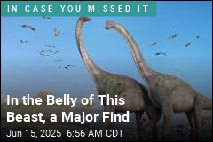 Finally, Hard Proof That These Dinos Scarfed Down Plants
