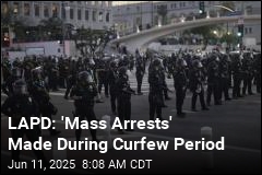 LAPD: &#39;Mass Arrests&#39; Made During Curfew Period