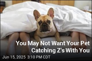Want Fido Next to You in Bed? Not So Fast