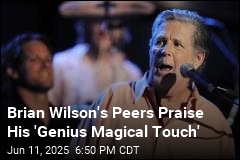 Brian Wilson&#39;s Peers Praise His &#39;Genius Magical Touch&#39;