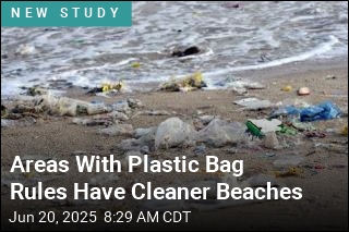 Areas With Plastic Bag Rules Have Cleaner Beaches