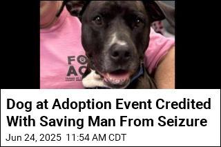 Dog at Adoption Event Credited With Saving Man From Seizure