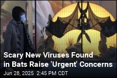 Scary New Viruses Found in Bats Raise &#39;Urgent&#39; Concerns
