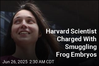 Harvard Scientist Charged With Smuggling Frog Embryos