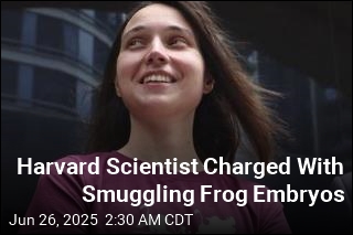 Harvard Scientist Charged With Smuggling Frog Embryos