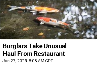 Burglars Take Unusual Haul From Restaurant
