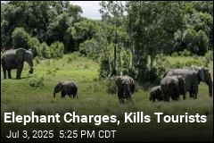 Elephant Charges, Kills Tourists
