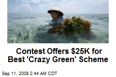 Contest Offers $25K for Best 'Crazy Green' Scheme