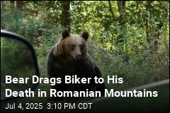 Bear Kills Biker in Romanian Mountains