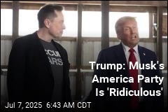 As Trump Dismisses Musk&#39;s Party, His Critics Are Here for It