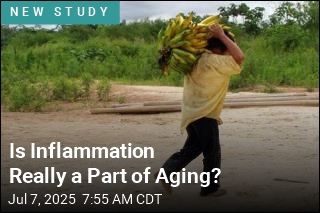 Is Inflammation Really a Part of Aging?