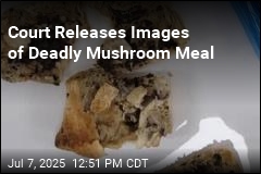 Court Releases Evidence in Mushroom Murder Case