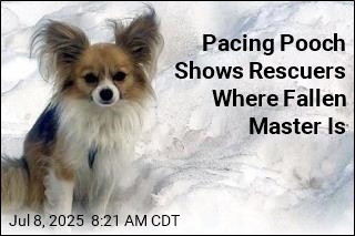 Pacing Pooch Shows Rescuers Where Fallen Master Is