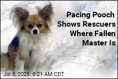 Pacing Pooch Shows Rescuers Where Fallen Master Is