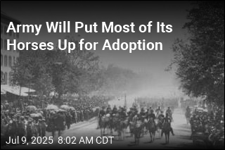 Army&#39;s Long Relationship With Ceremonial Horses to End
