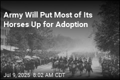 Army&#39;s Long Relationship With Ceremonial Horses to End
