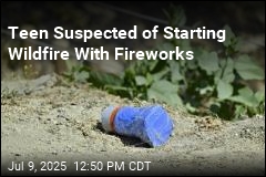 Teen Suspected of Starting Wildfire With Fireworks
