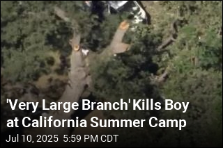 &#39;Very Large Branch&#39; Kills Boy at California Summer Camp