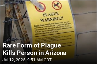 Rare Form of Plague Kills Person in Arizona