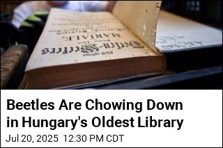 Hungary&#39;s Oldest Library Yanks 100K Books to Deal With Bugs