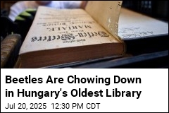 Hungary&#39;s Oldest Library Yanks 100K Books to Deal With Bugs