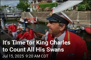 So Now, King Charles Is Going to Count All His Swans